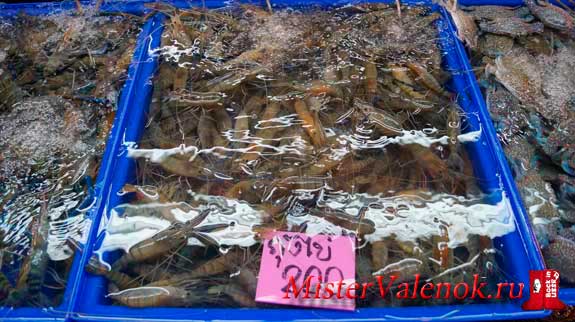 креветки цены в Паттайе